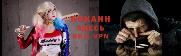 гашик Магас