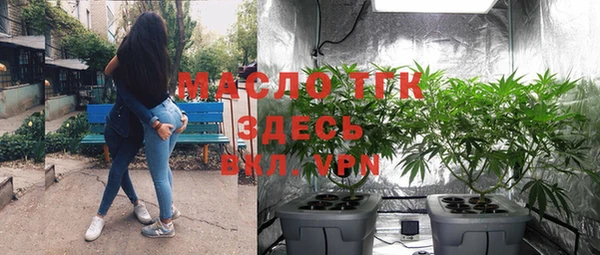 дживик Мегион