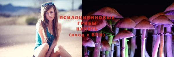 дживик Мегион
