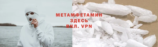 прущие грибы Майский
