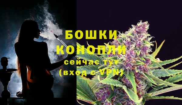 гашик Магас