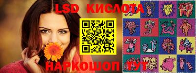 прущие грибы Гусев
