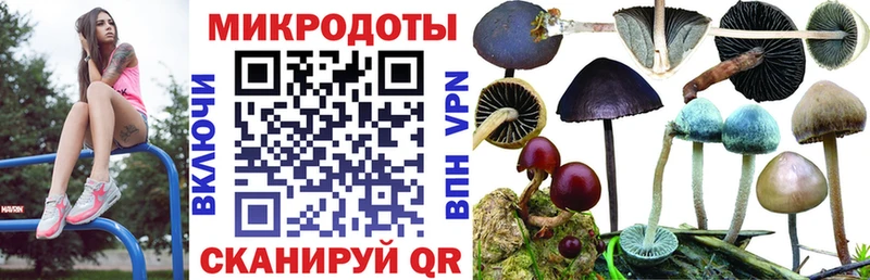 Галлюциногенные грибы прущие грибы  Лосино-Петровский 