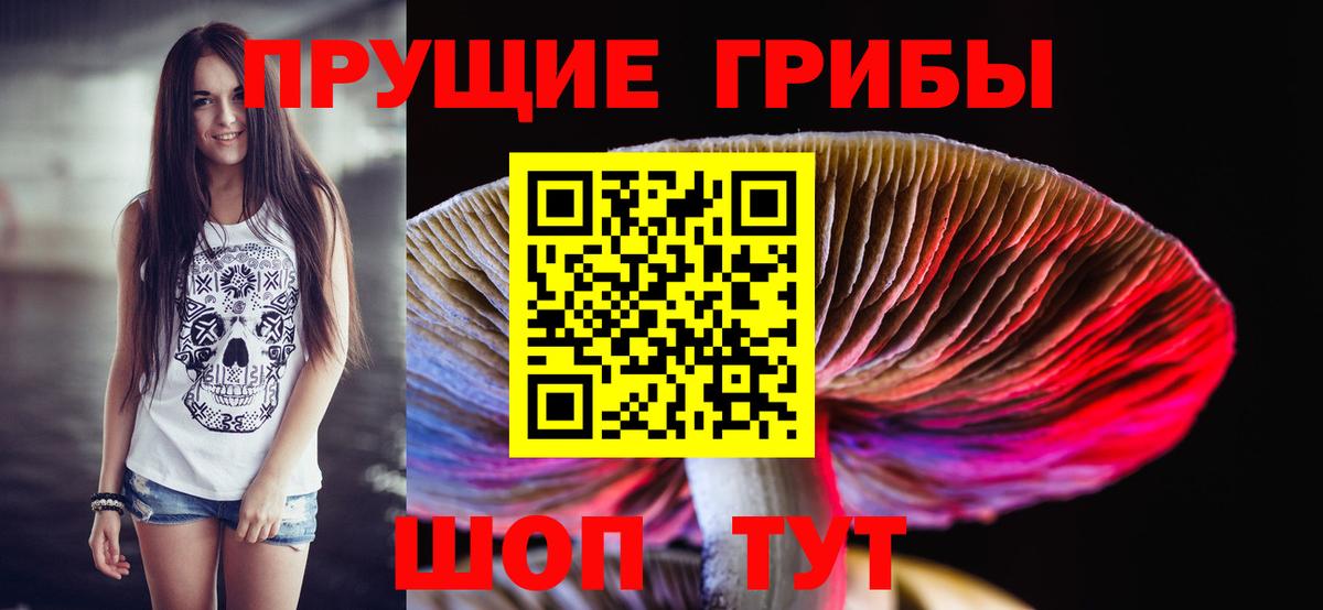 Галлюциногенные грибы Cubensis Лосино-Петровский